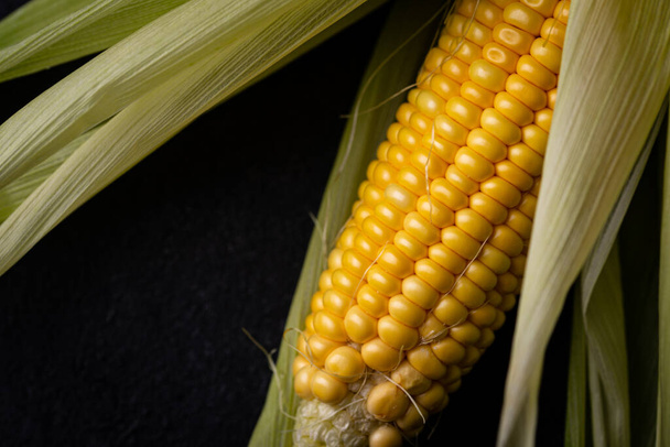 Raw ripe corn. Dark style - Fotografie, Obrázek