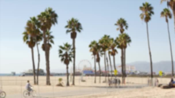 Californië strand esthetisch, mensen fietsen op een fietspad. Wazige, onscherpe achtergrond. Pretpark op pier en palmen in Santa Monica American Pacific Resort, Los Angeles CA Verenigde Staten - Video