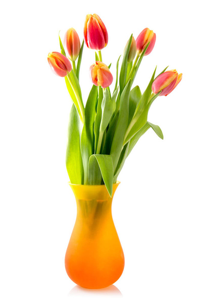 Bouquet of blossoming tulips in vase isolated on white background - Photo, image