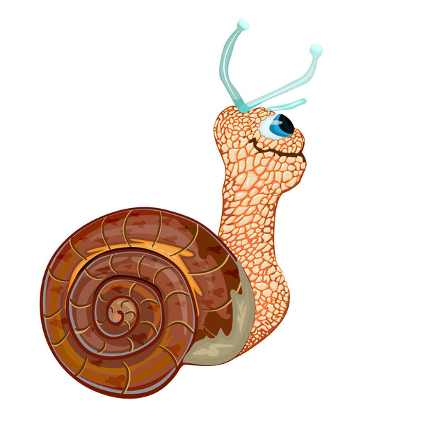 Snail isolated on white background. Happy cute character cartoon snail with his home shell body. Cheerful little garden snail side view. Stock vector illustration - Vector, Image