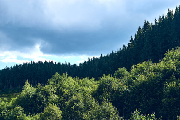Nyáron erdő. Hegyek hegyek alatt egy napsütéses napon kék ég felhők. Sötét őszi fák. Túrázás a vad hegyekben. Kalandtúra koncepció. - Fotó, kép