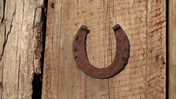 A rusty horseshoe is nailed to the board. A man's hand touches a horseshoe. To many, the horseshoe is a symbol of good luck and protection - Footage, Video