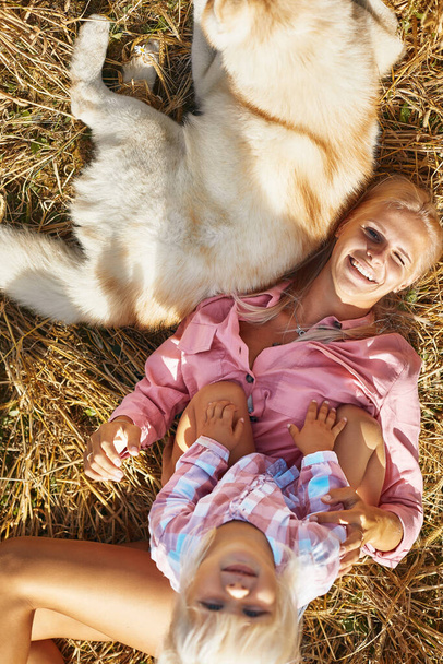 Aranyos kislány anyával és kutyával a búzaföldön. A boldog fiatal család élvezi az együtt töltött időt a természetben. Anya, a kislány és a kutya husky a szabadban pihen. összetartás, szeretet, boldogság fogalma. - Fotó, kép
