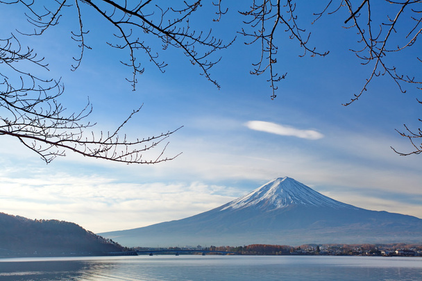Berg Fuji im Wintermorgen vom See kawaguchiko, Yamanashi-Präfektur - Foto, Bild