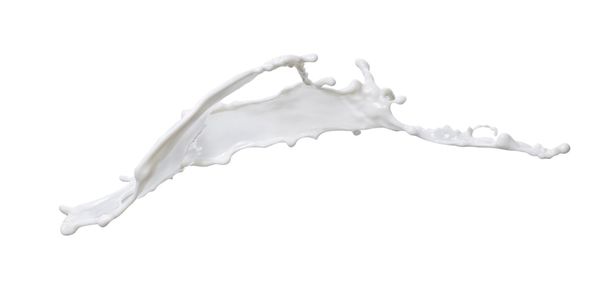 White milk isolated on white background - Photo, Image