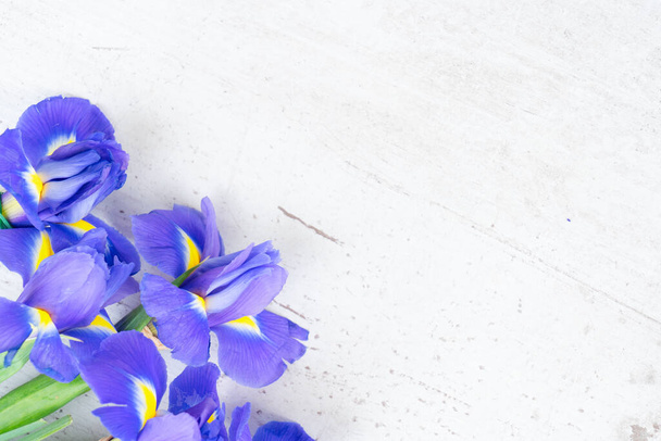 Frische Irisblüten - Foto, Bild