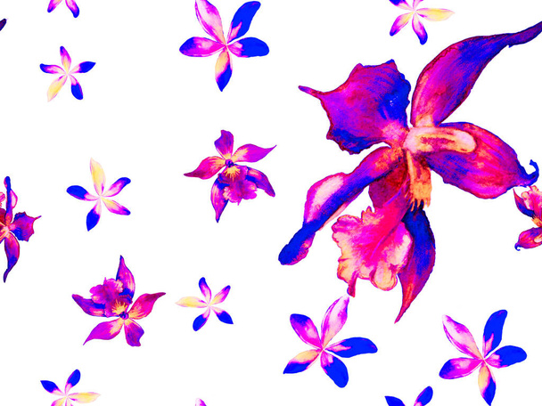 Orchidee naadloos patroon. - Foto, afbeelding