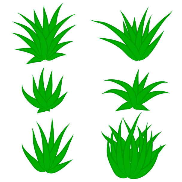Ensemble de plantes succulentes, buisson, fleur isolé sur fond blanc. Illustration vectorielle. - Vecteur, image