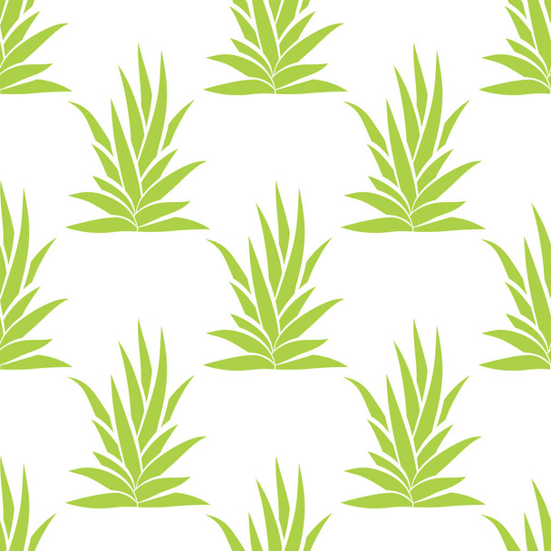 Succulent bush seamless pattern on white background. Vector illustration. - Vector, Image