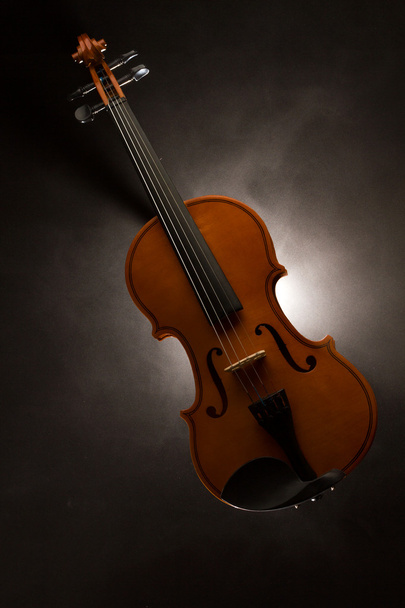 Silhouette of a violin - Фото, изображение