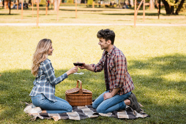 boční pohled na muže a ženu sedící na kostkované přikrývce a cinkající sklenice červeného vína  - Fotografie, Obrázek