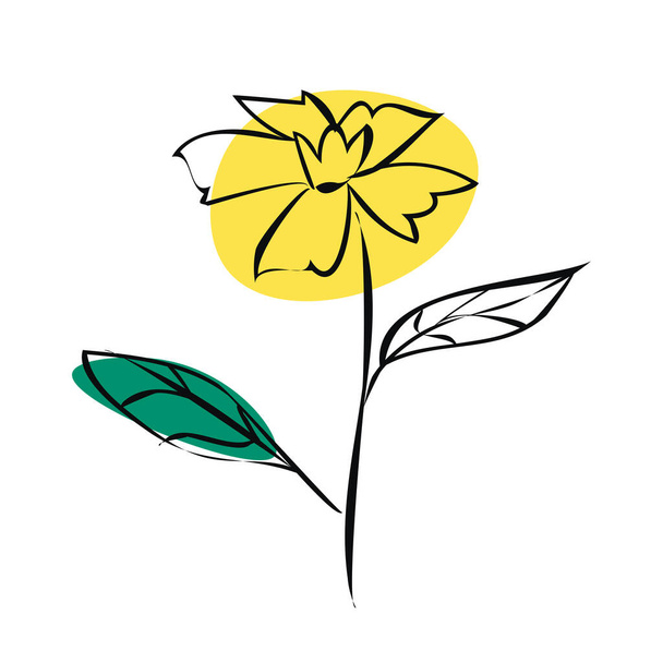 Skizzieren Sie gelbe Blume mit schwarzen Umrissen. Vektor-Illustration isoliert auf weißem Hintergrund. - Vektor, Bild