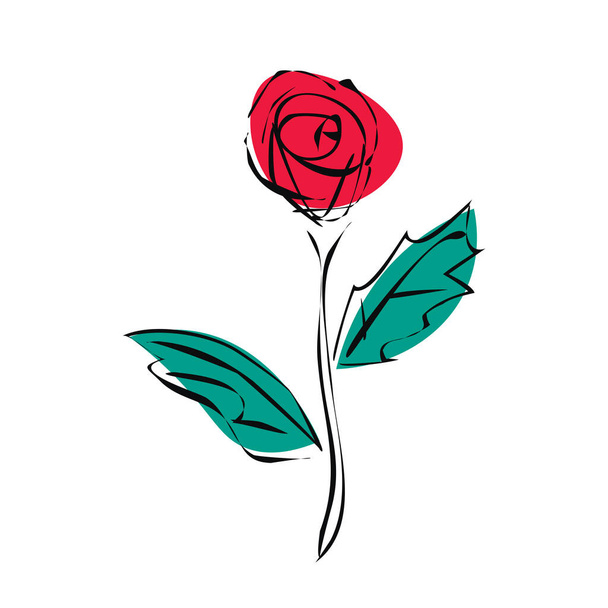 Vázlatos vörös rózsa virág fekete körvonalak. Vektor illusztráció elszigetelt fehér háttér. - Vektor, kép