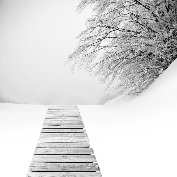 Suelo de madera sobre nieve con árbol cubierto
 - Foto, Imagen