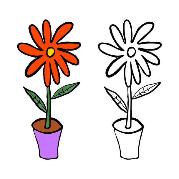 Cartoon doodle bloem met bladeren in pot geïsoleerd op witte achtergrond. Vectorillustratie.  - Vector, afbeelding