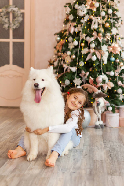 Χριστουγεννιάτικο κοριτσάκι αγκαλιά σκυλί Samoyed. Χριστούγεννα, χειμώνας και άνθρωποι. Χριστουγεννιάτικη κάρτα. Καλή Χρονιά. Πρωτοχρονιά στο σπίτι - Φωτογραφία, εικόνα