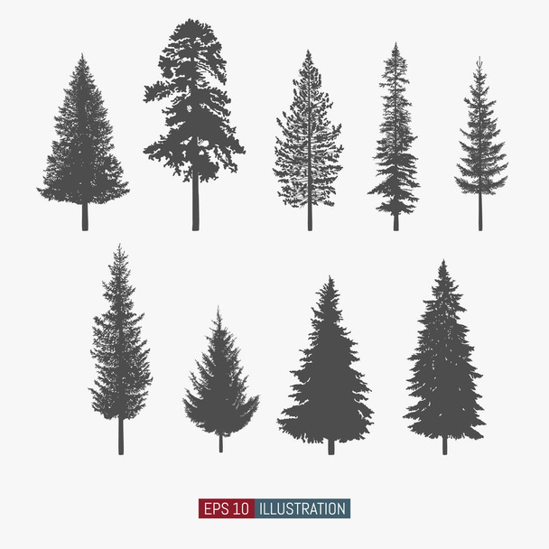 Coniferous tree isolated silhouettes set. Pine tree and fir tree flat icons. Elements for your design works. Vector illustration. - Vector, Image