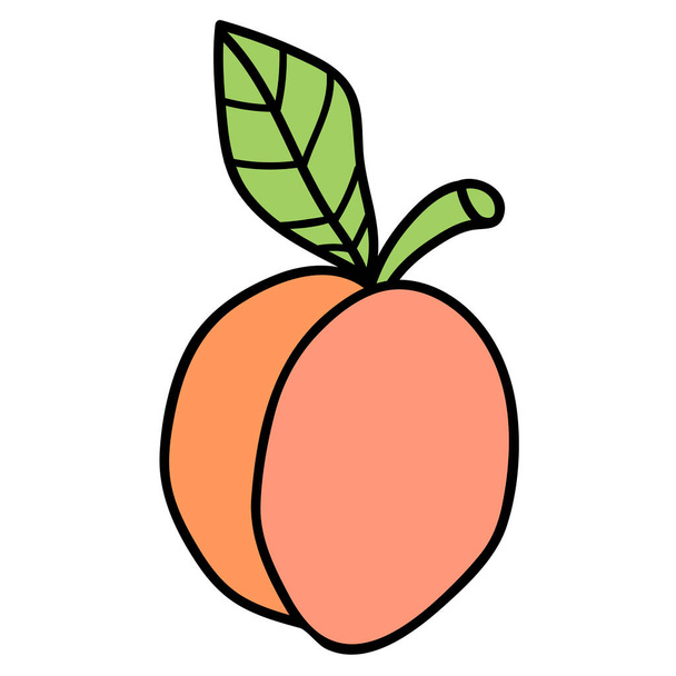 Caricature doodle abricot linéaire avec feuille isolée sur fond blanc. Illustration vectorielle. - Vecteur, image
