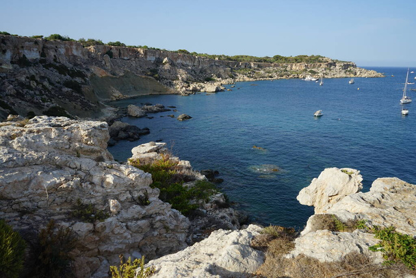Orillas rocosas y vegetación única en la costa de L-Ahrax. L-Ahrax, Mellieha, Malta   - Foto, imagen