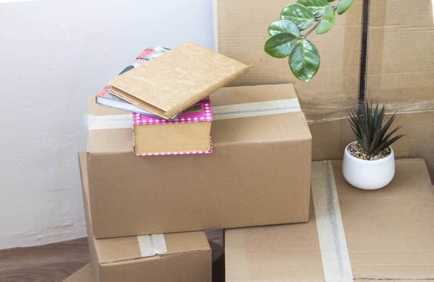 kartonnen dozen gevuld met dingen en indoor bloemen, verhuizen naar een nieuw huis. - Foto, afbeelding