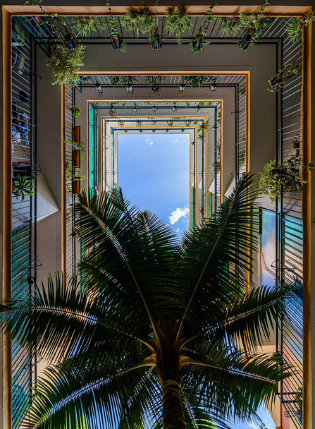 青い空とヤシの木のある内部バルコニーアパートメントの垂直方向の眺め - 写真・画像