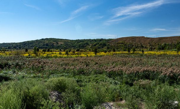 Sokszínű mező és dombok. Virágokkal és fűvel borított mező. - Fotó, kép