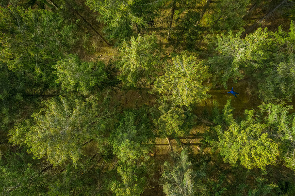 Függőleges drón kilátás tetején egy zöld erdő tavasszal, madártávlat. - Fotó, kép