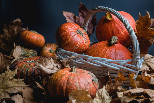 The pumpkin is in a white basket, on a dark background. - Фото, зображення