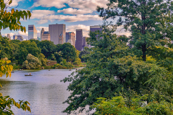 Näkymä puiden läpi New Yorkin keskuspuistossa pilvenpiirtäjillä taustalla päivällä. - Valokuva, kuva