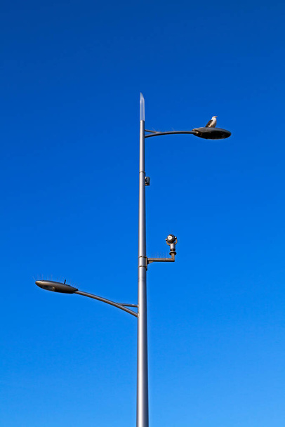 Ein Laternenmast mit zwei Lampen und einer CCTV-Kamera vor einem strahlend blauen Himmel. Trotz Anti-Vogel-Stacheln sitzt eine Möwe auf einer der Lampen. - Foto, Bild