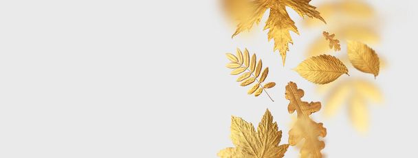 Hojas doradas de otoño voladoras de diferentes formas sobre fondo gris claro. Concepto de otoño, fondo de otoño. Diseño floral mínimo, marco de hoja de otoño. Una ramita dorada. Composición creativa de otoño - Foto, imagen