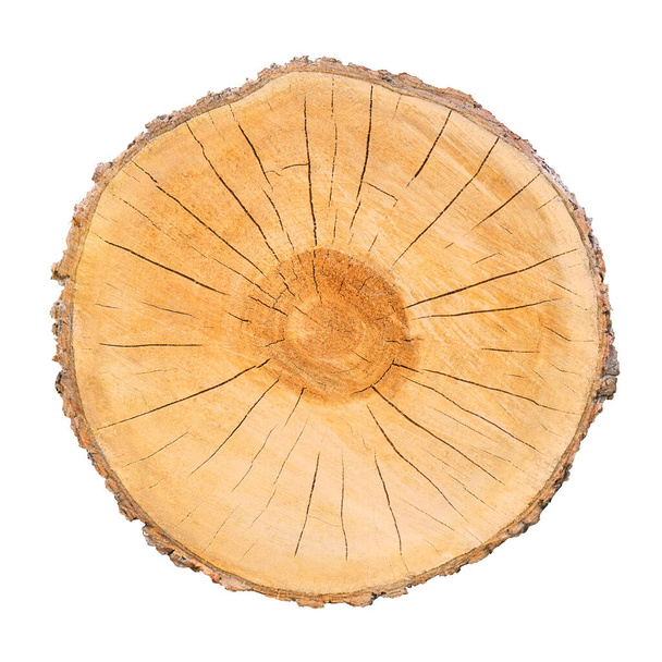 Une grosse tranche de tronc d'arbre coupée dans les bois. Surface texturée avec anneaux et fissures. Fond brun neutre en bois franc de la forêt. - Photo, image