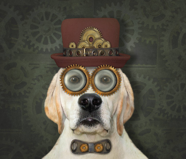 A steampunk dog is in a hat, a metal bow tie and glasses. Blue background. - Fotografie, Obrázek