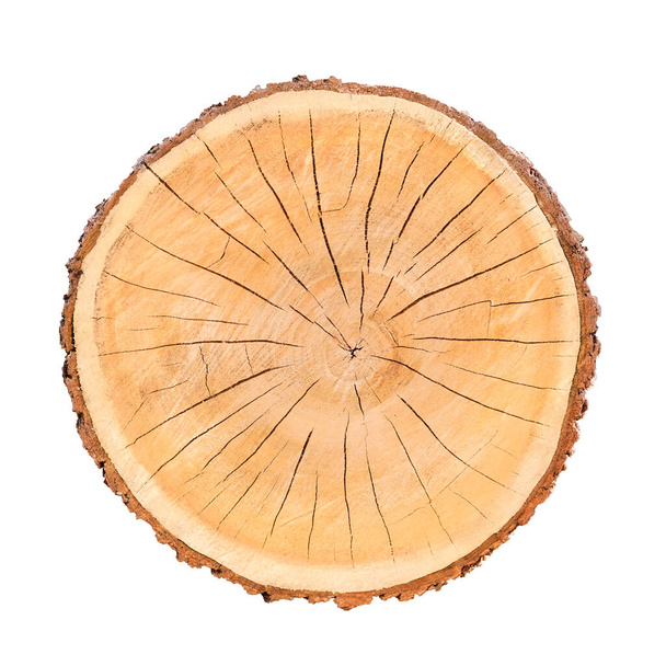 Wypadł kawałek drewna z pnia drzewa z pierścieniami wzrostu odizolowanymi na biało. Naturalna tekstura drewna vintage. - Zdjęcie, obraz
