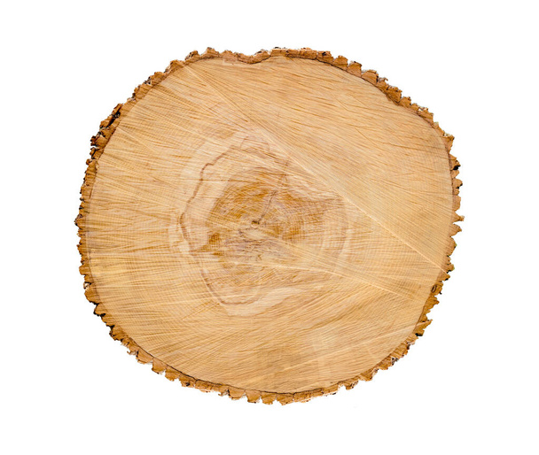 Felled piece of wood from a tree trunk with growth rings isolated on white. Natural vintage wood texture. - Foto, Imagem