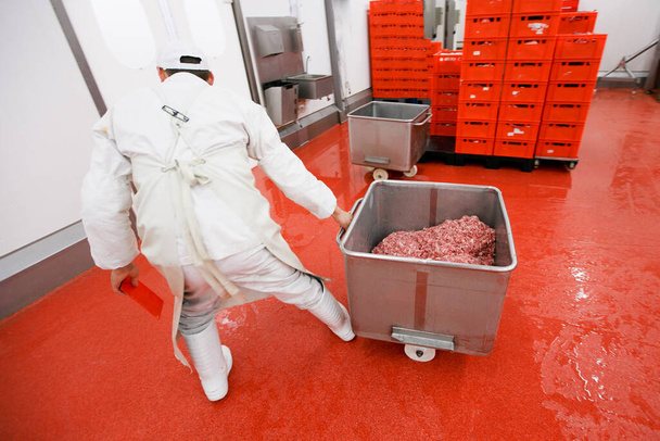 Veduta posteriore di un lavoratore disposto carne cruda macinata in un processo industriale in una cassa di acciaio inossidabile in una fabbrica di lavorazione della carne. - Foto, immagini