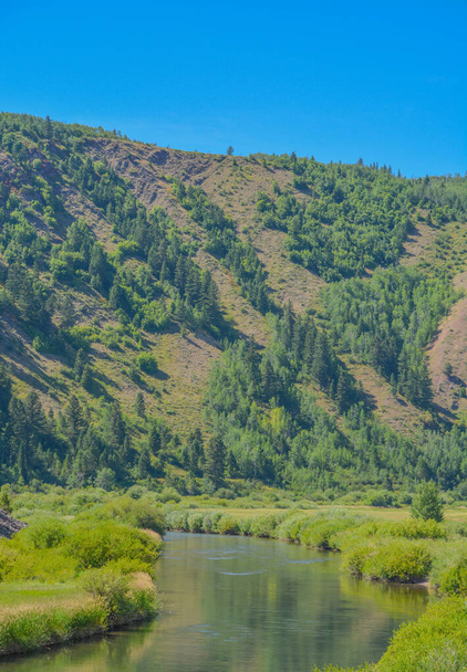 El flujo pacífico del río Snake en las Montañas Rocosas de Wyoming - Foto, Imagen
