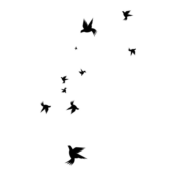 Lintukyyhkyn logon malli - Vektori, kuva