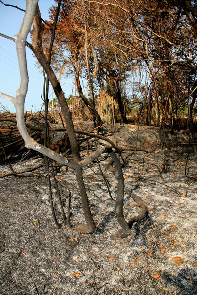 santa cruz cabralia - 10 de novembro de 2008: Incêndio destrói vegetação na área de proteção ambiental é visto no distrito de Santo Andre. * * * Legenda local * * - Foto, Imagem