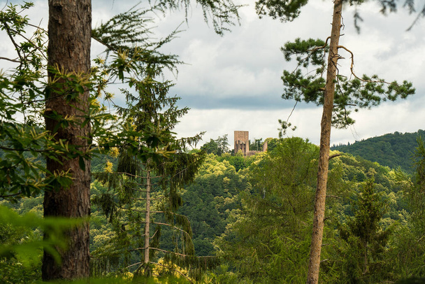 paisagem beatiful das colinas da madeira do wald do pfaelzer, rheinland-pfalz, alemanha - Foto, Imagem