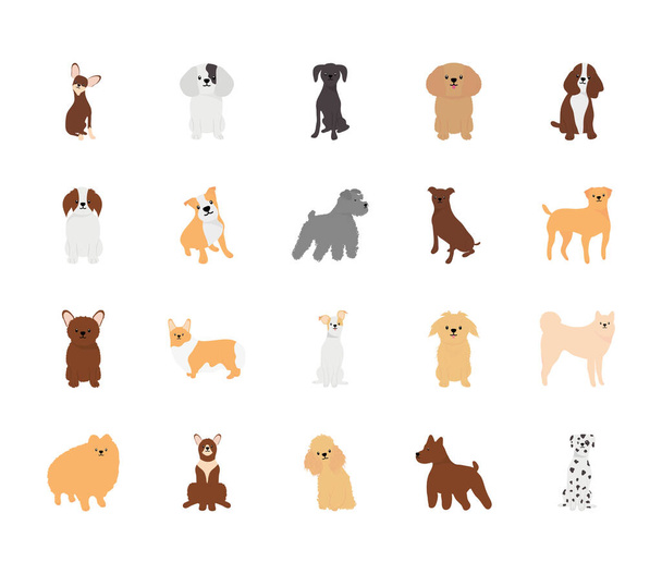 ícone conjunto de cães de desenhos animados e poodle, estilo plano - Vetor, Imagem