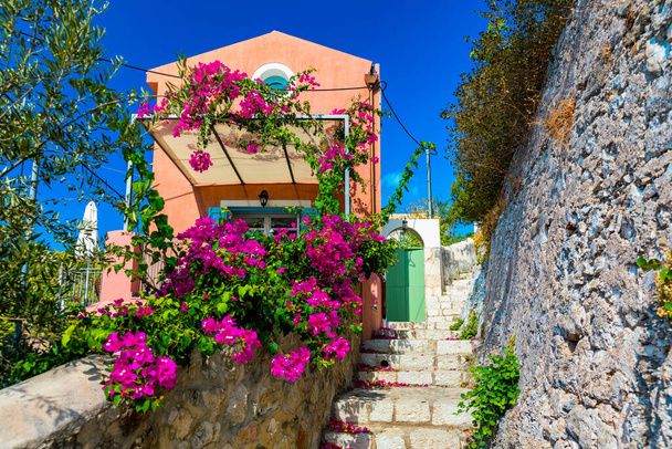 Traditional street with greek houses with flowers in Assos, Kefalonia island. Traditional colorful greek houses in Assos village. Blooming fuchsia plant flowers. Kefalonia island, Greece - Photo, Image