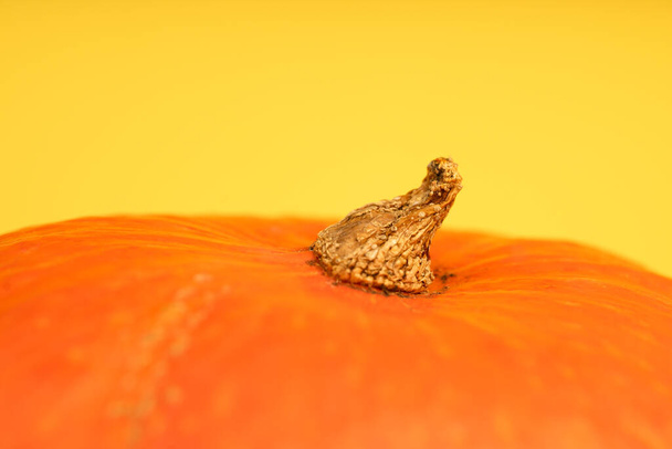 Pumpkin on yellow background close up - Zdjęcie, obraz