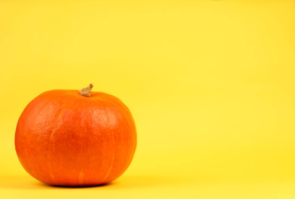 Pumpkin on yellow background close up - Zdjęcie, obraz