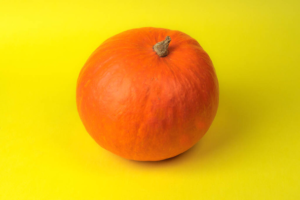 Pumpkin on yellow background close up - Фото, изображение