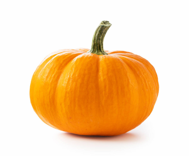 Orange pumpkin on a white background - Photo, Image