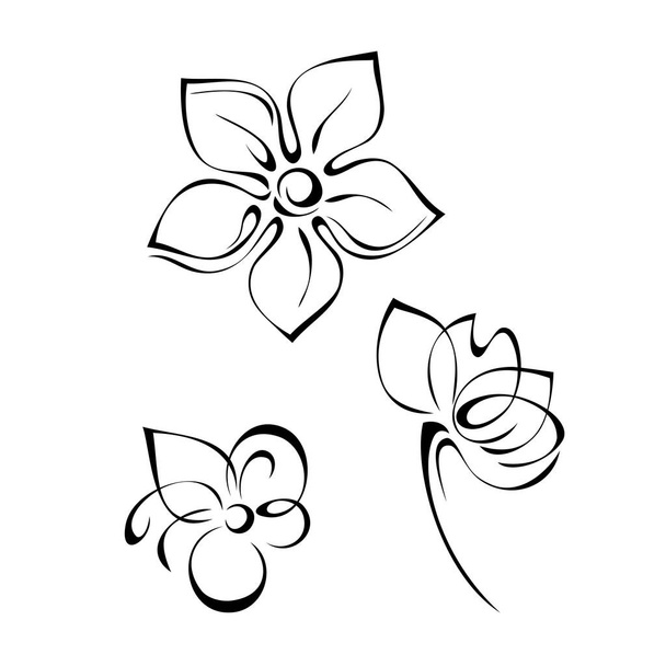 three separate decorative flowers in black lines on a white background - Vektori, kuva