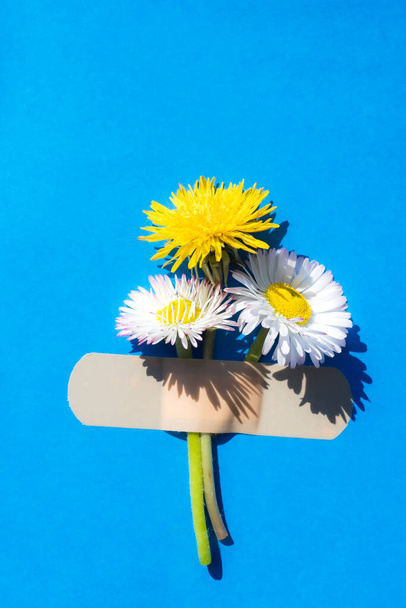 Dandelion and daisies flowers taped to bright blue background. - Фото, зображення