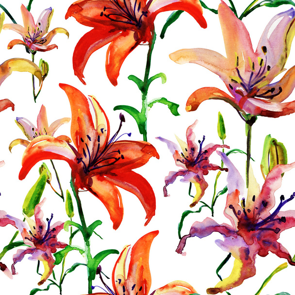 Lily flowers - Фото, зображення