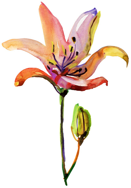 Lilies flowers - Фото, изображение